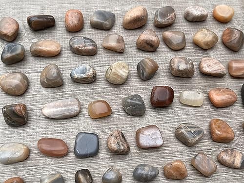 Miniatura 475 de GAF TREASURES Piedras pulidas de ojo de tigre de 1/2 libra, piedra preciosa natural pulida, cristales curativos de ojo de tigre (ojo de tigre)