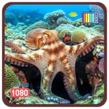 adhdフォーカスアンカー＆心を落ち�