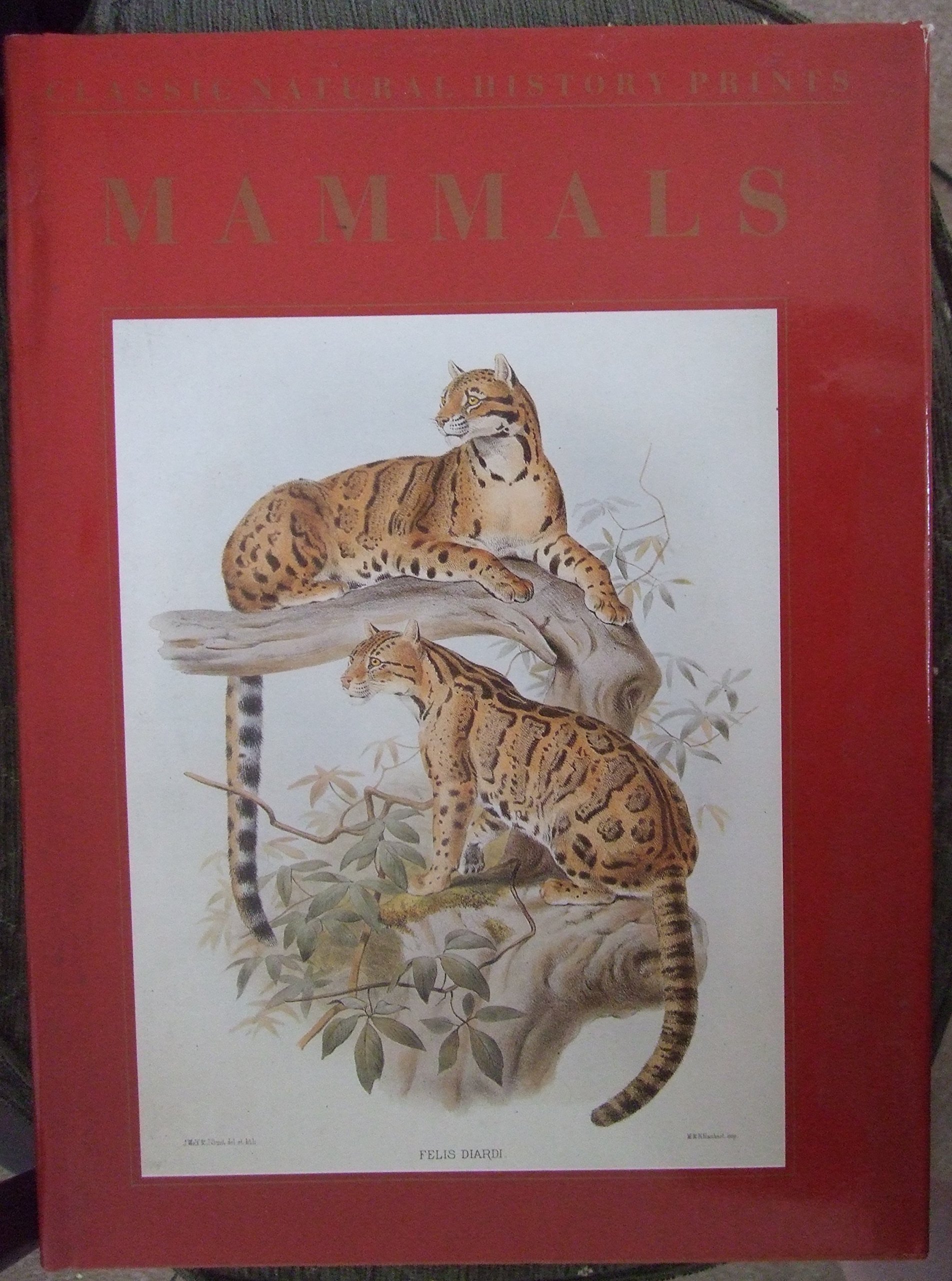 Amazon | CLA.NAT.HIST.PRINTS MAMMALS (Classic Natural History