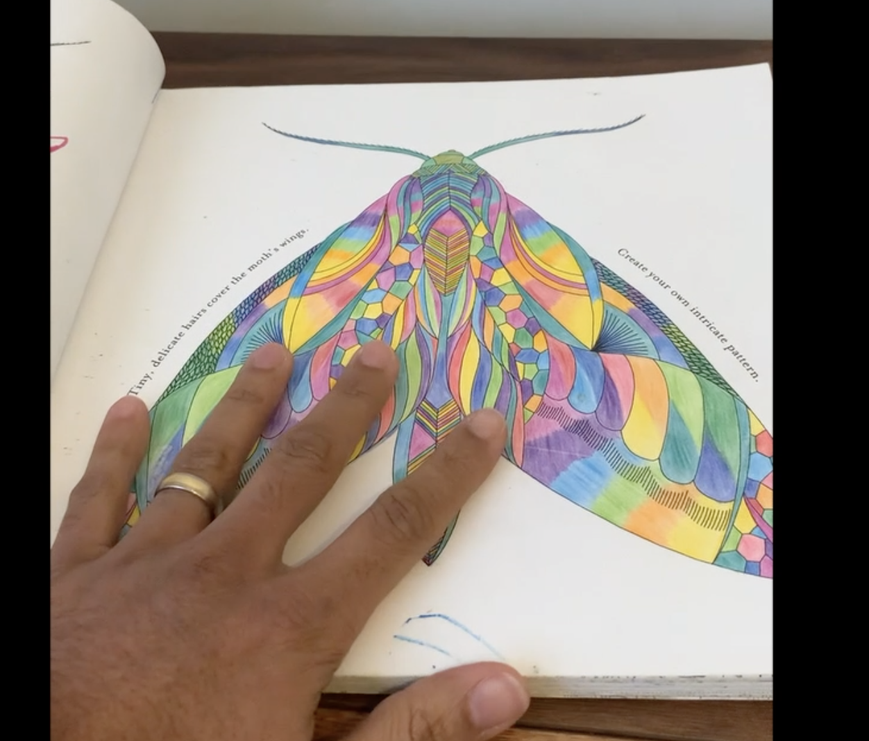 Watch Animal Kingdom Color Me, ﹙Draw Me Millie Marotta Adult