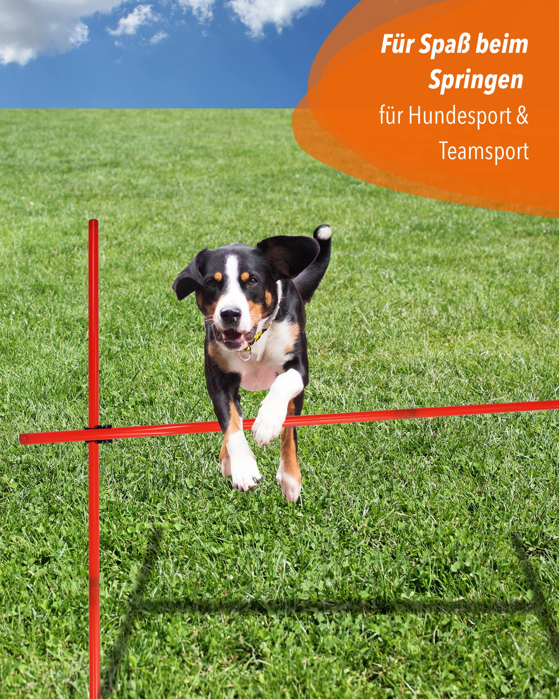 Kombi-X-Standfuß-Hürdenset – Stangen 180 cm – Training der Sprungkraft & Koordination – befüllbarer X-Standfuß – Agility-Hürde für Fußball, Leichtathletik & Hundesport