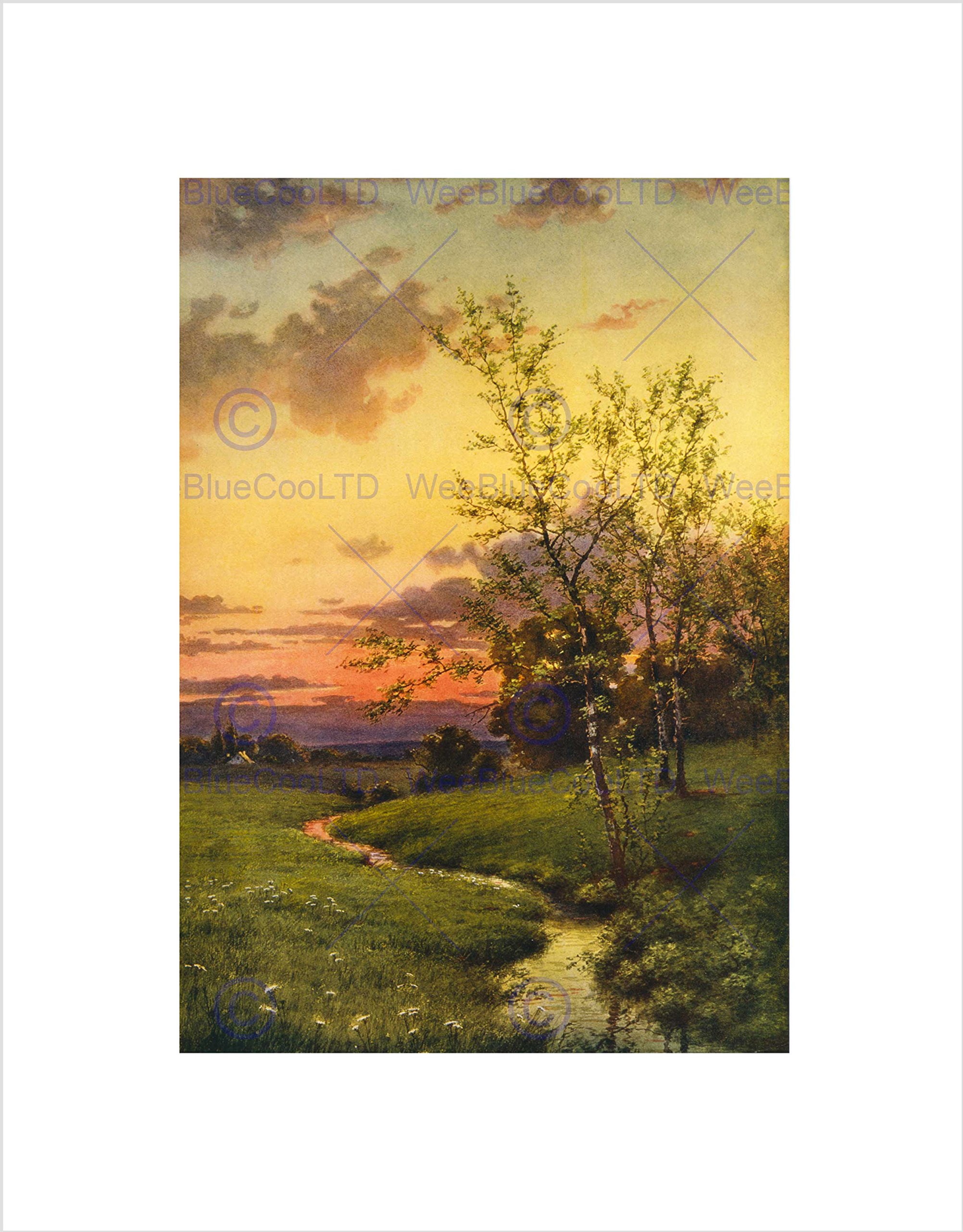 Wee Blue Coo PAINTINGS LANDSCAPE SUNSET COUNTRYSIDE TREE NEW FRAMED ART PRINT MOUNT B12X10946