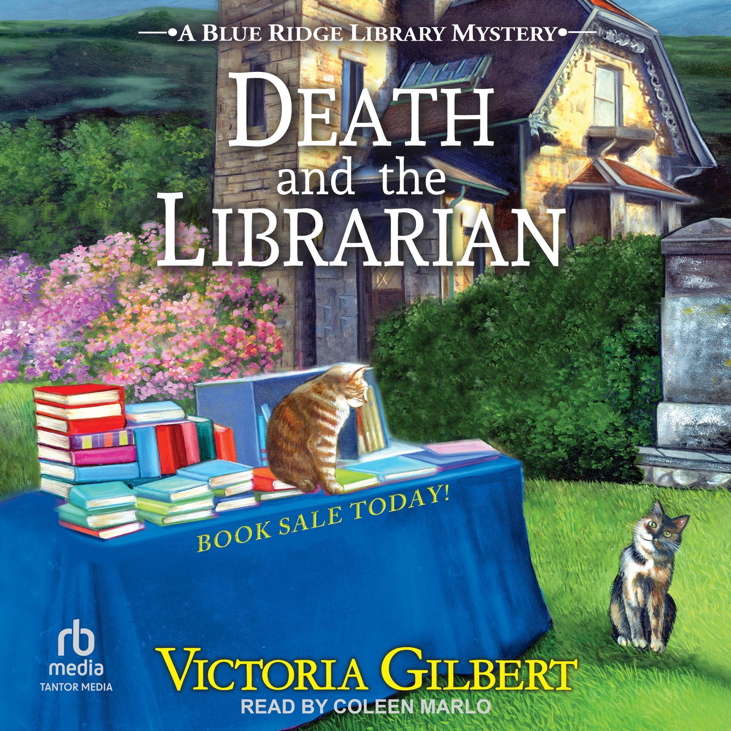 Cover art for Death and the Librarian