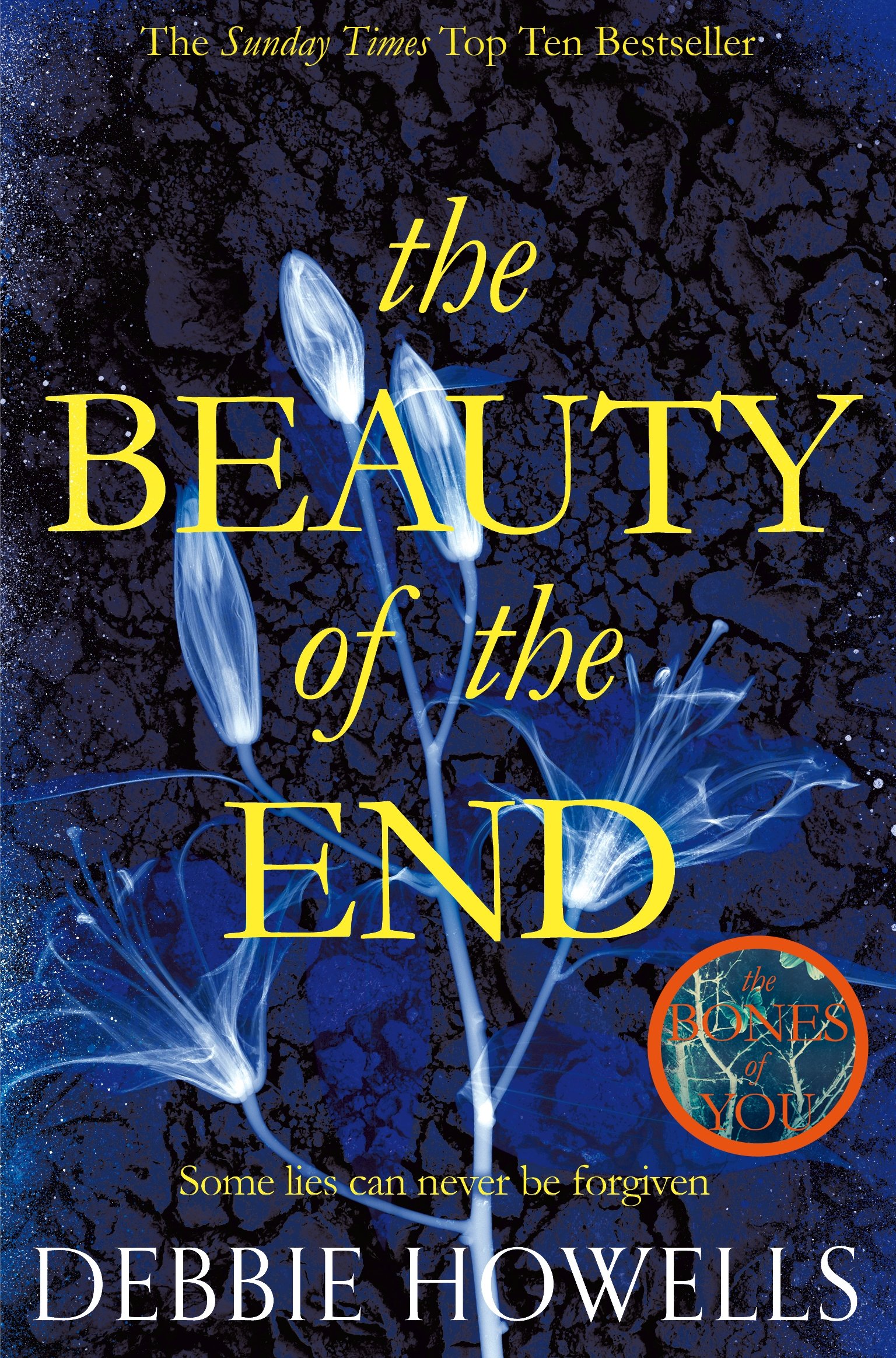 The Beauty of the End by Debbie Howells - 9781447278139