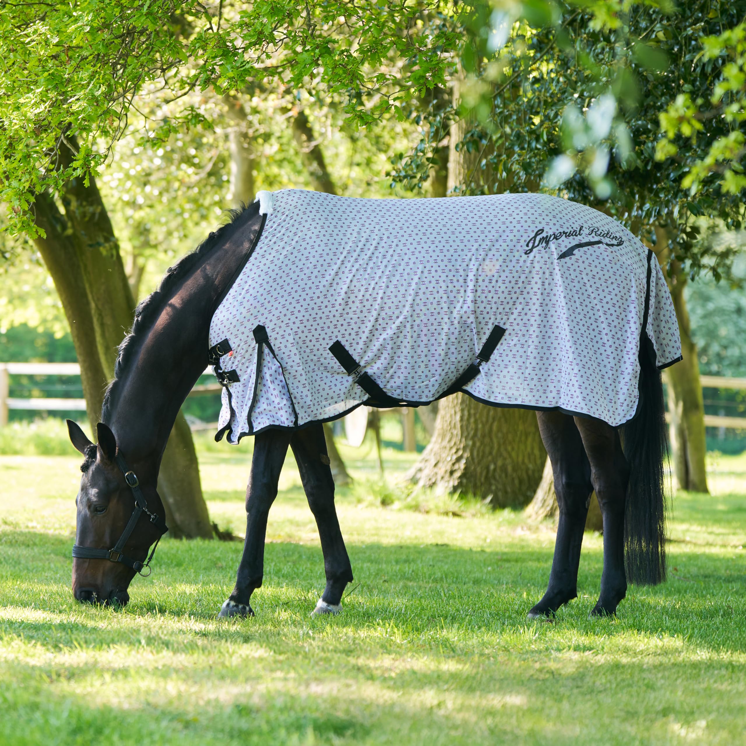 Couverture anti-mouches cheval légère Imperial Riding IRH Carlys protection UV maille 145