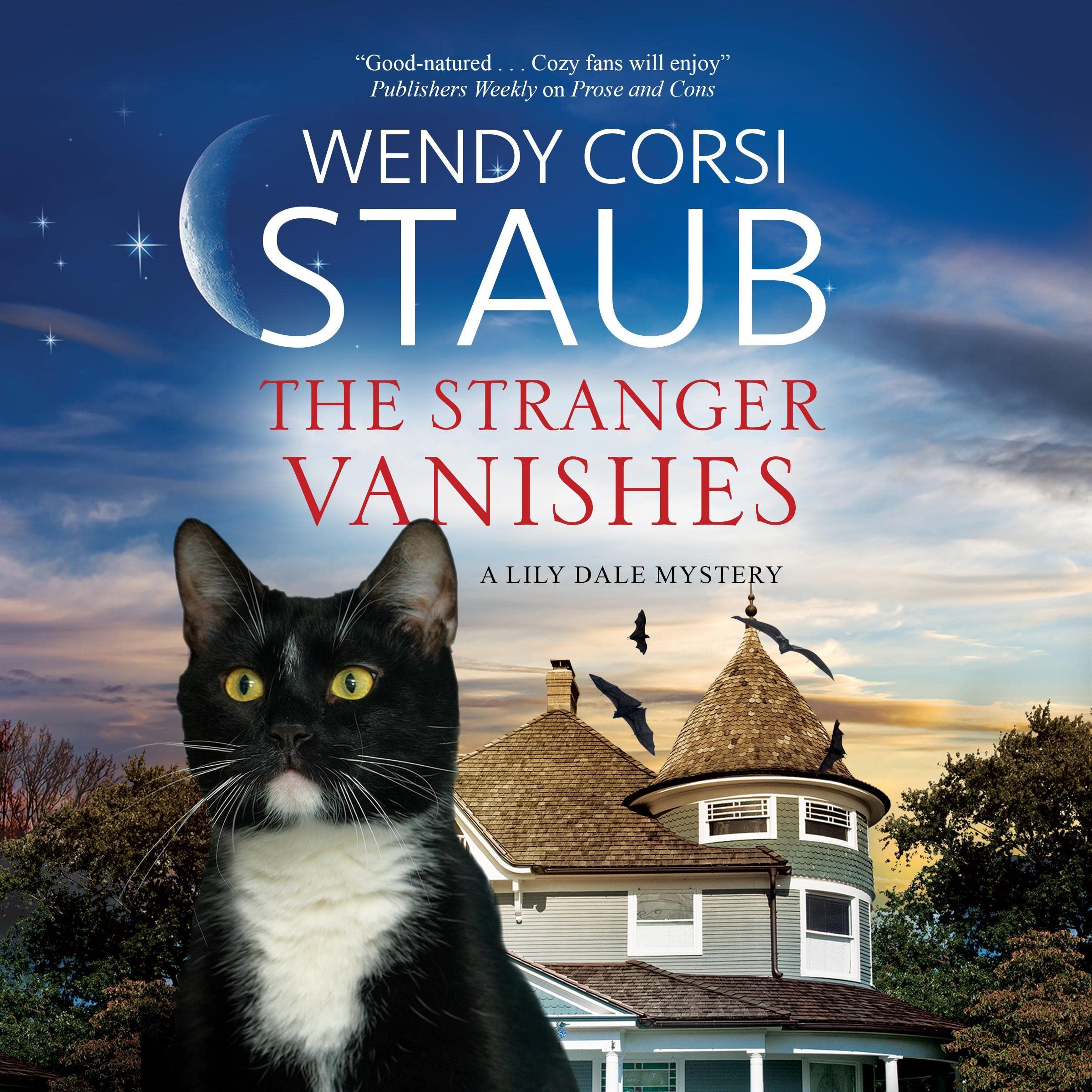 Cover art for The Stranger Vanishes
