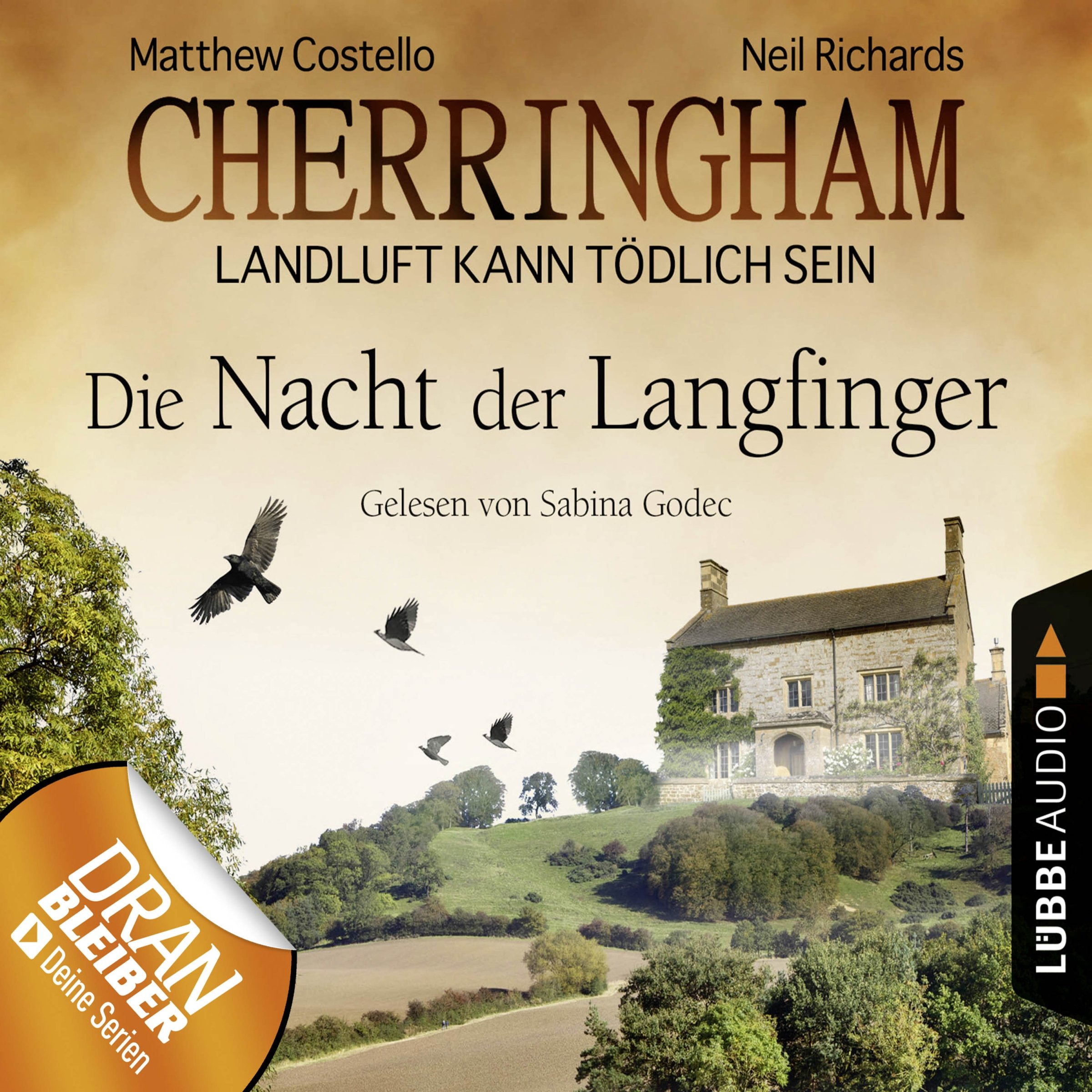 Cover art for Die Nacht der Langfinger