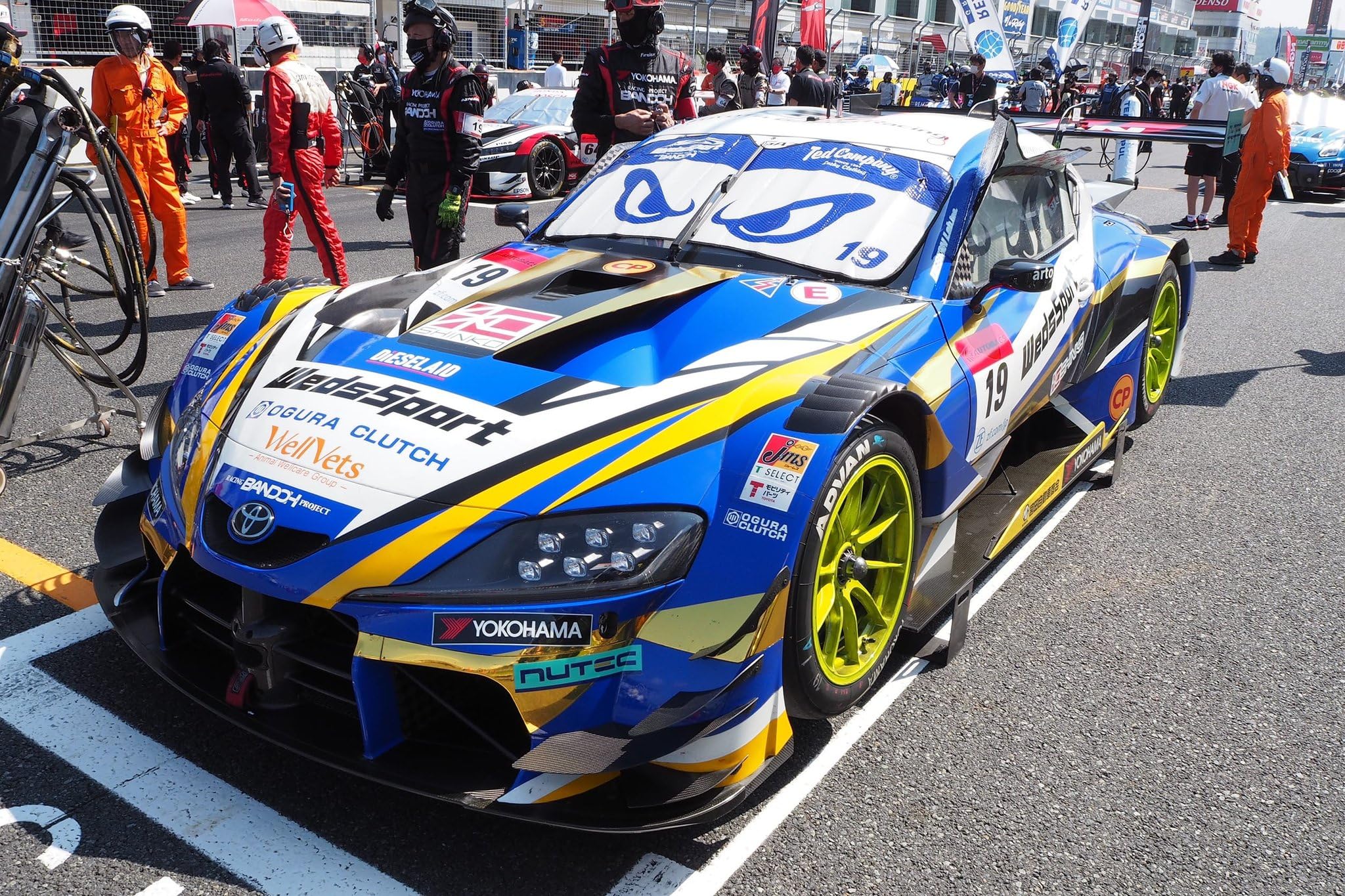 Amazon | Wedssport×Tedman×BANDOHのコラボサンシェード (Sサイズ