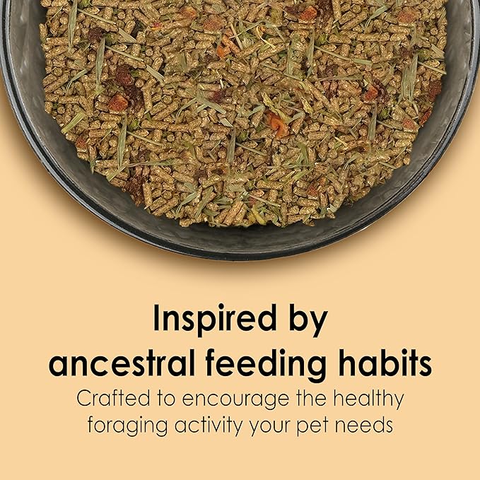 Kaytee Alimento para Chinchilla Food from the Wild 3 lb miniatura 2