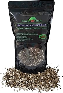 Succulent & Cactus Soil Mix - Premium Pre-Mixed Fast Draining Blend (1.25 Dry Quarts)