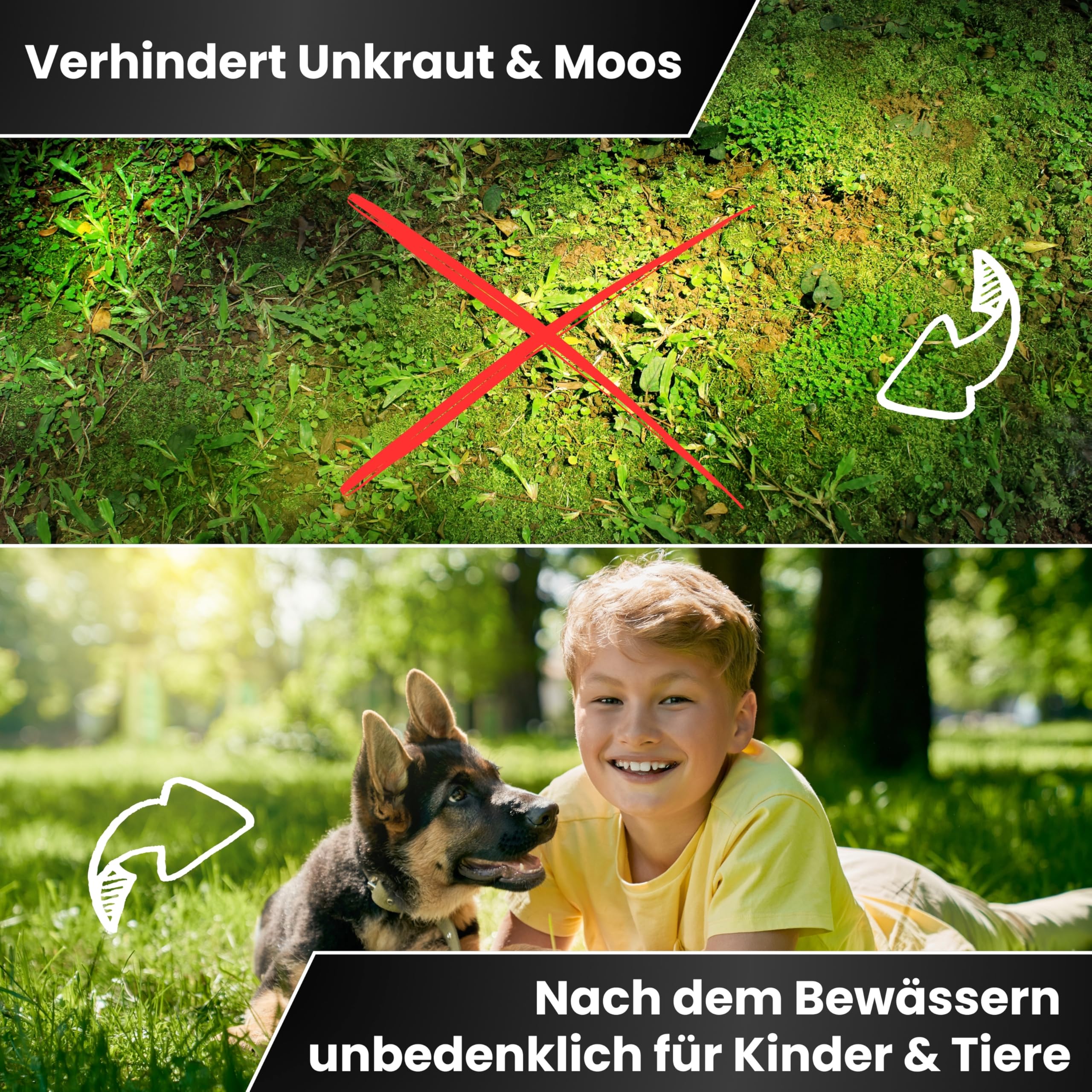 Greenyp Kompakt Langzeit Rasendünger Frühjahr I 30kg für 1000m² I mit Langzeitwirkung & Depotwirkung für Frühjahr bis Spätsommer I verhindert Moosbildung I NPK Dünger Rasen Dünger