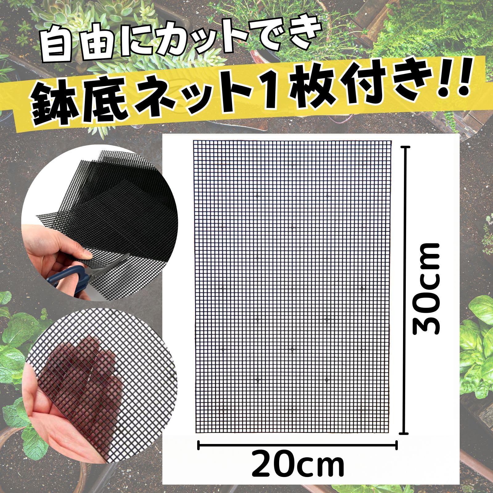 Amazon.co.jp: Leap Raupe 鉢底石 軽石 園芸 大粒 2L 【10年使える鉢底