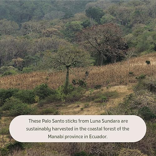 Miniatura 6 de Varillas para quemar de Palo Santo por Luna Sundara