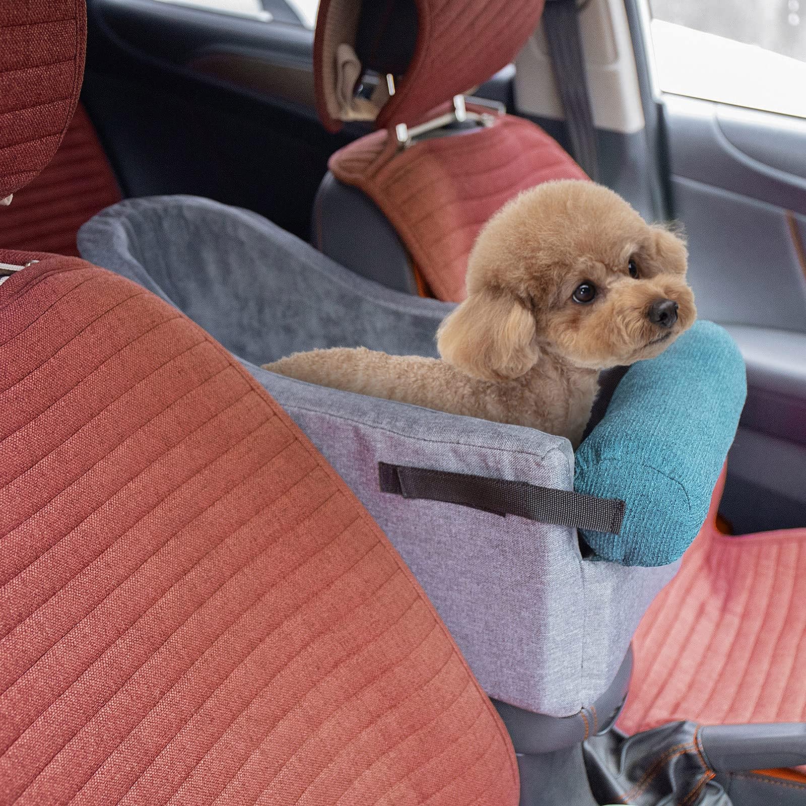 DOflight Siège Auto Pour Petit Chiot – Console Centrale Rehausseur Pour Animal Domestique