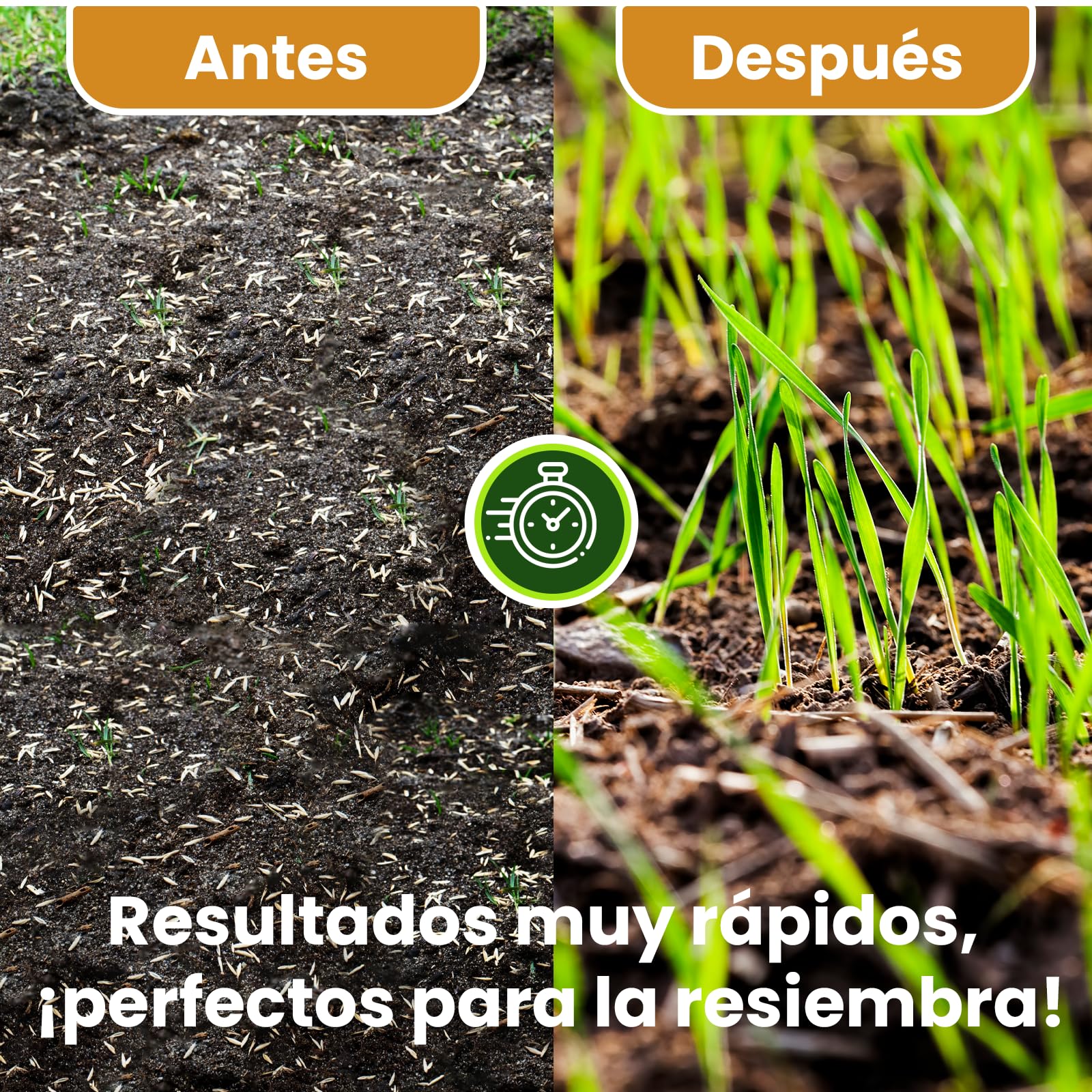 LERAVA STARTER abono césped (180 m²) - favorece el crecimiento de raíces - ideal con semillas de césped sin riesgo de quemar - refuerza la resistencia del suelo - abono para jardín natural