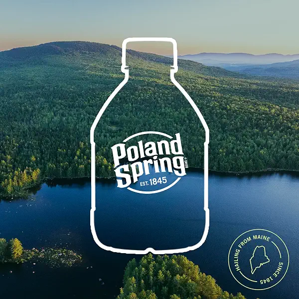 Poland Spring Maine Spring Water Bottles, 12 Pack – Crisp, Still Bottled Water with Naturally Balanced Occurring Minerals & Electrolytes for Taste - 8 Fl Oz 5