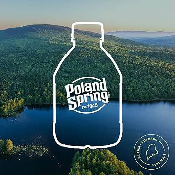 Poland Spring Maine Spring Water Bottles, 48 Pack Crisp, Still Bottled Water with Naturally Balanced Occurring Minerals & Electrolytes for Taste - 8 Fl Oz