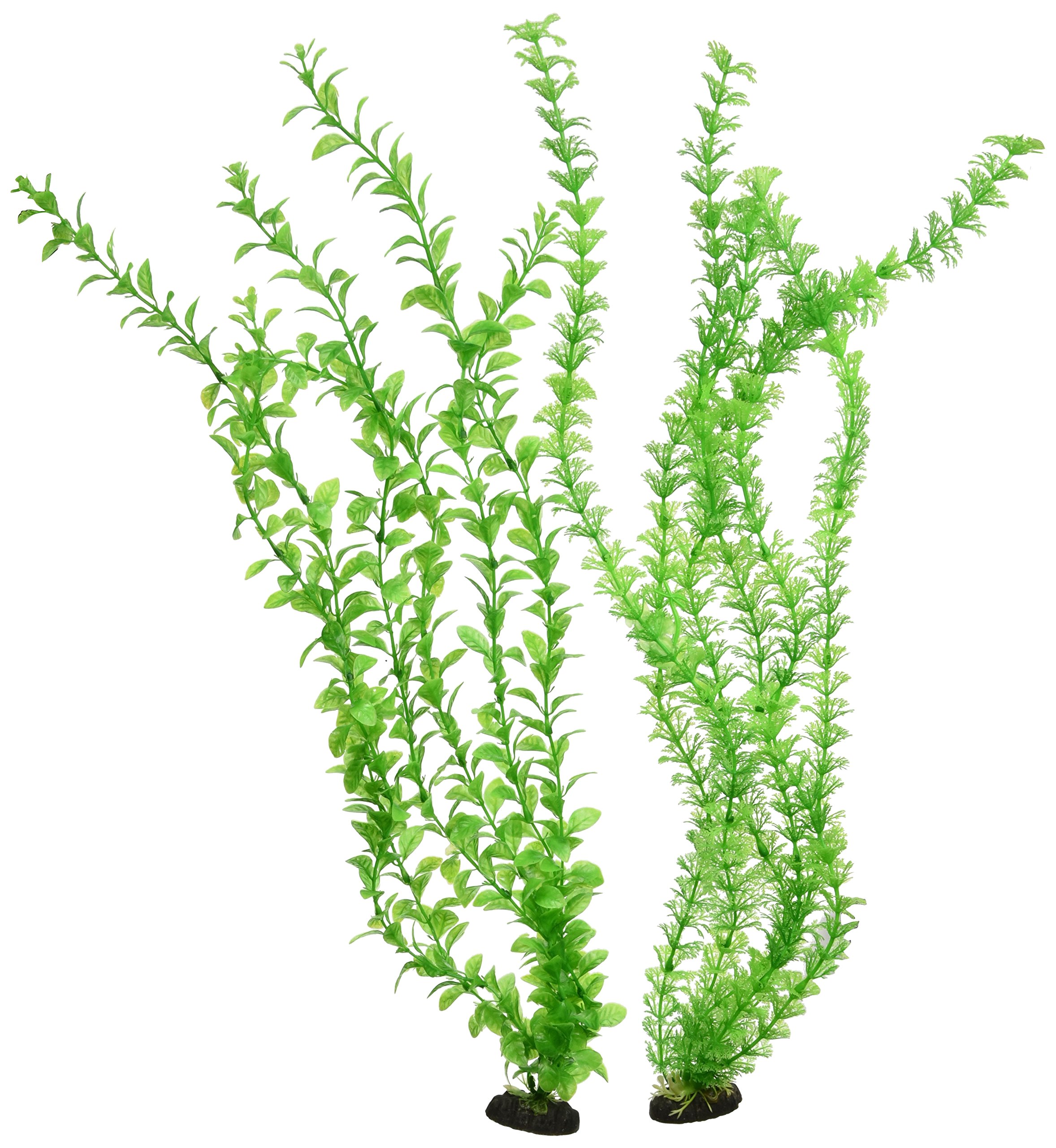 Penn-Plax Apel3 61 cm Aqua-Plants plantes artificielles d'aquarium (Lot de 2)