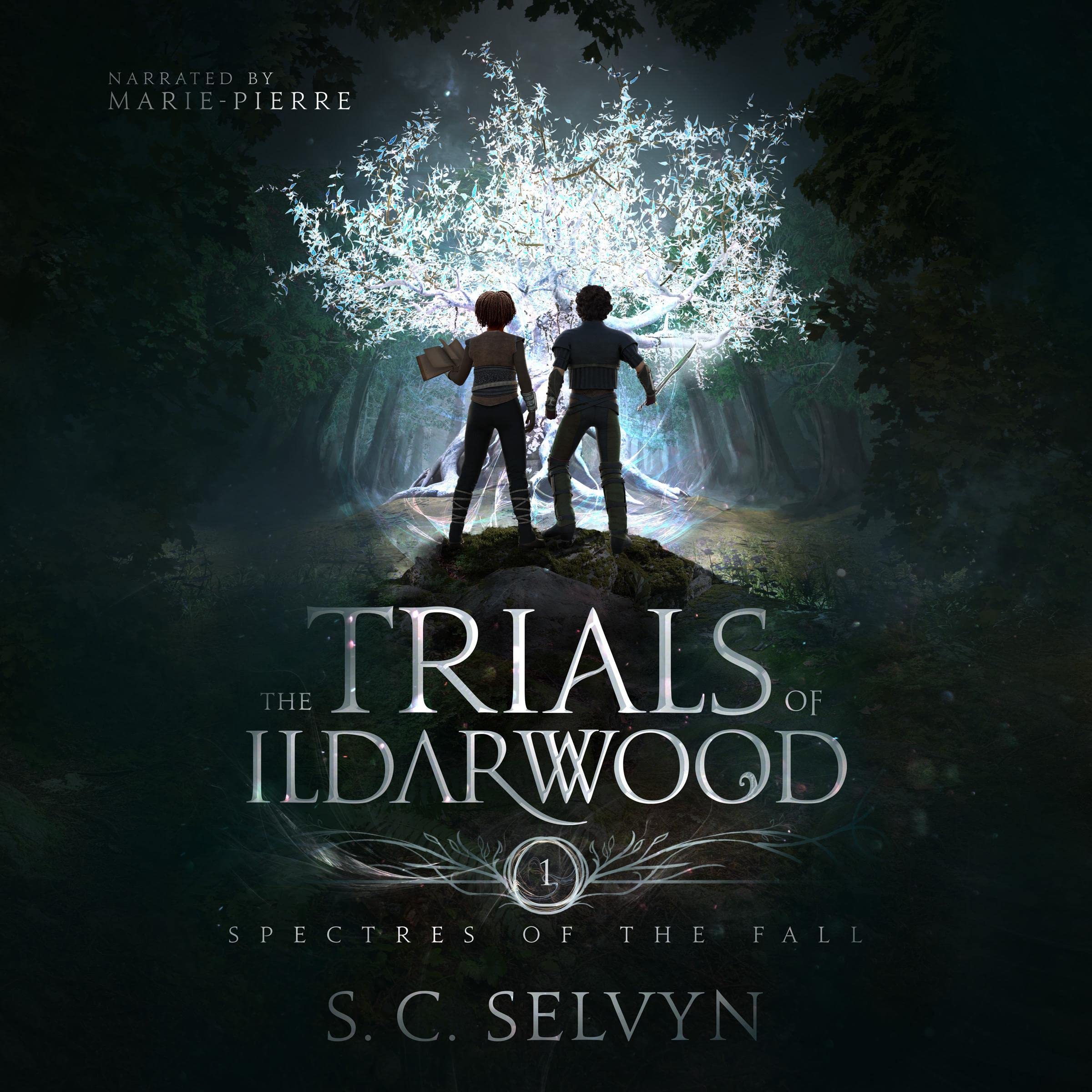 Cover art for The Trials of Ildarwood