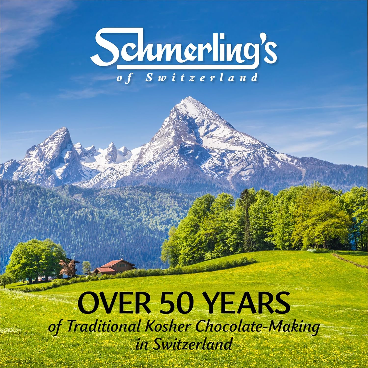 Schmerling's Minor Premium Swiss Chocolate Bars - Crunchy Milk Chocolate Candy Bars with Roasted Hazelnuts - GMO-Free, Kosher for Passover OU - 22g Each - Bulk (Pack of 30)