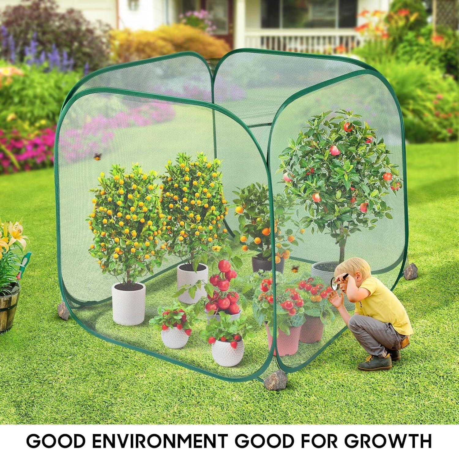 MIAOKE 2 Pack Pop Up Mesh Plant Cover, 35.4x35.4x38.2 Inch No Build Protection Against Insects Garden Netting, Raised Bed Cover for Barrier Against Insects for Vegetable Plant Fruit Animals