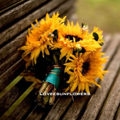 Loveesunflowers - //medicalbooks.filipinodoctors.org