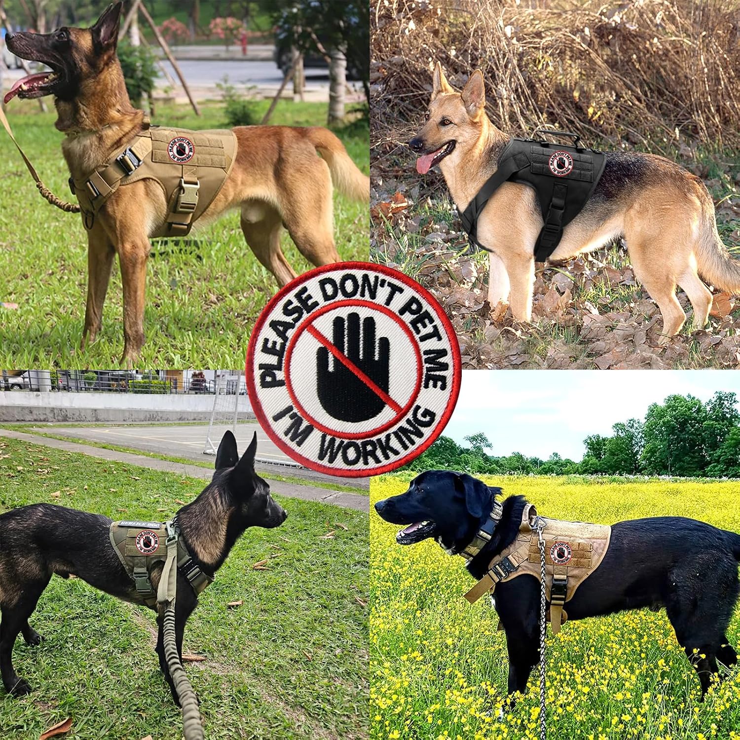 2 Pcs Service Dog Patch,Please Don't Pet Me I'm Working Tactical Patch,Embroidered Applique Fastener Hook and Loop Emblem,Funny Patches for Backpacks,Dog Harnesses,Service Animal Vests,Tactical Gear image 5