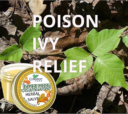 Miniatura 6 de Creation Farm Jewelweed Balm, remedio de hiedra venenosa, tratamiento de la piel del tarro de té de hierbas para la piel ayuda al tatuaje, alivia