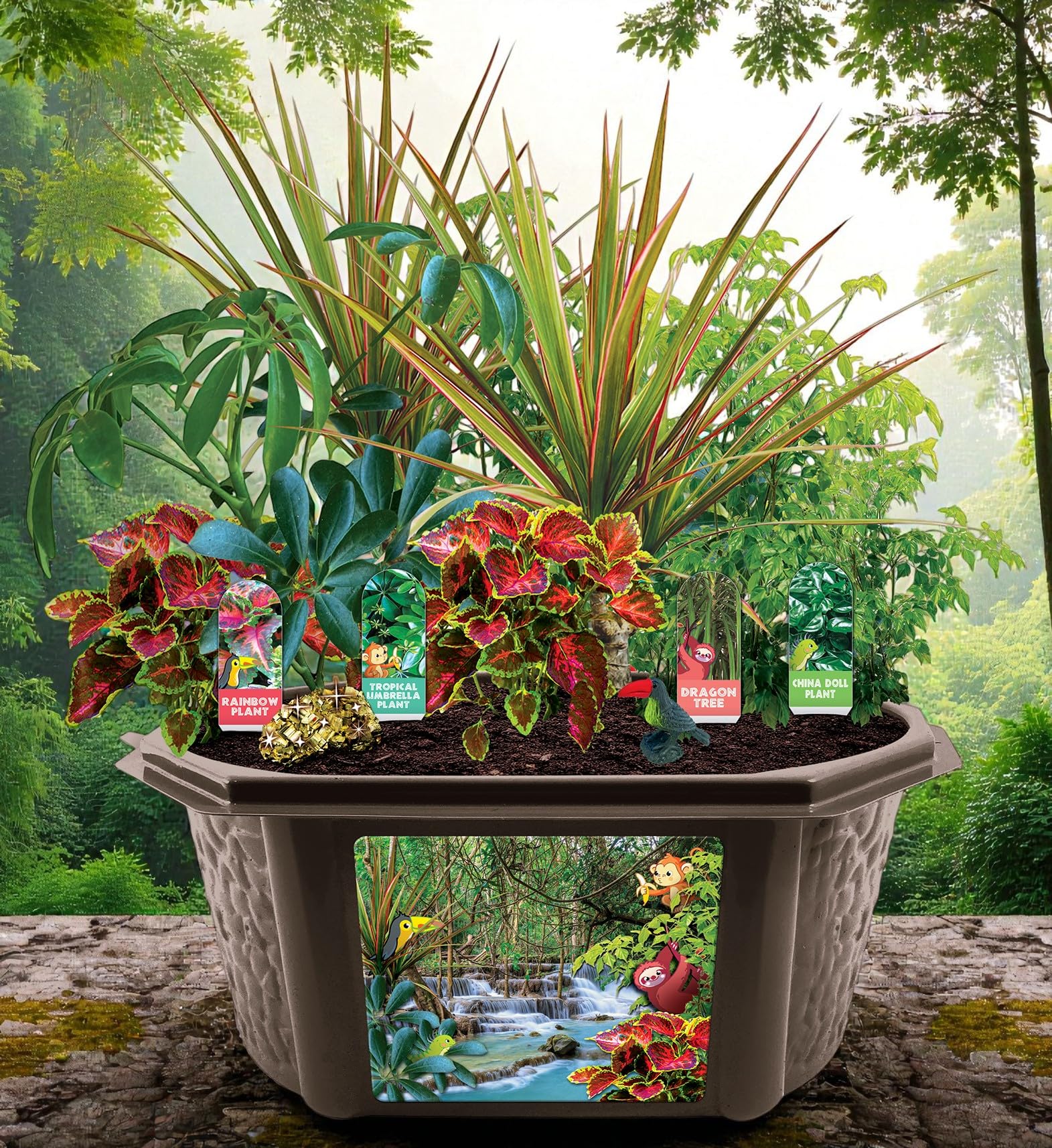 Toys by Biosphere Terrarium-Starter-Set mit komplettem Zubehör, um Ihren eigenen Dschungel zu erschaffen! Zimmerpflanzen für Heimausstellungen und Gärten (Tropischer Regenwald-Dschungel)