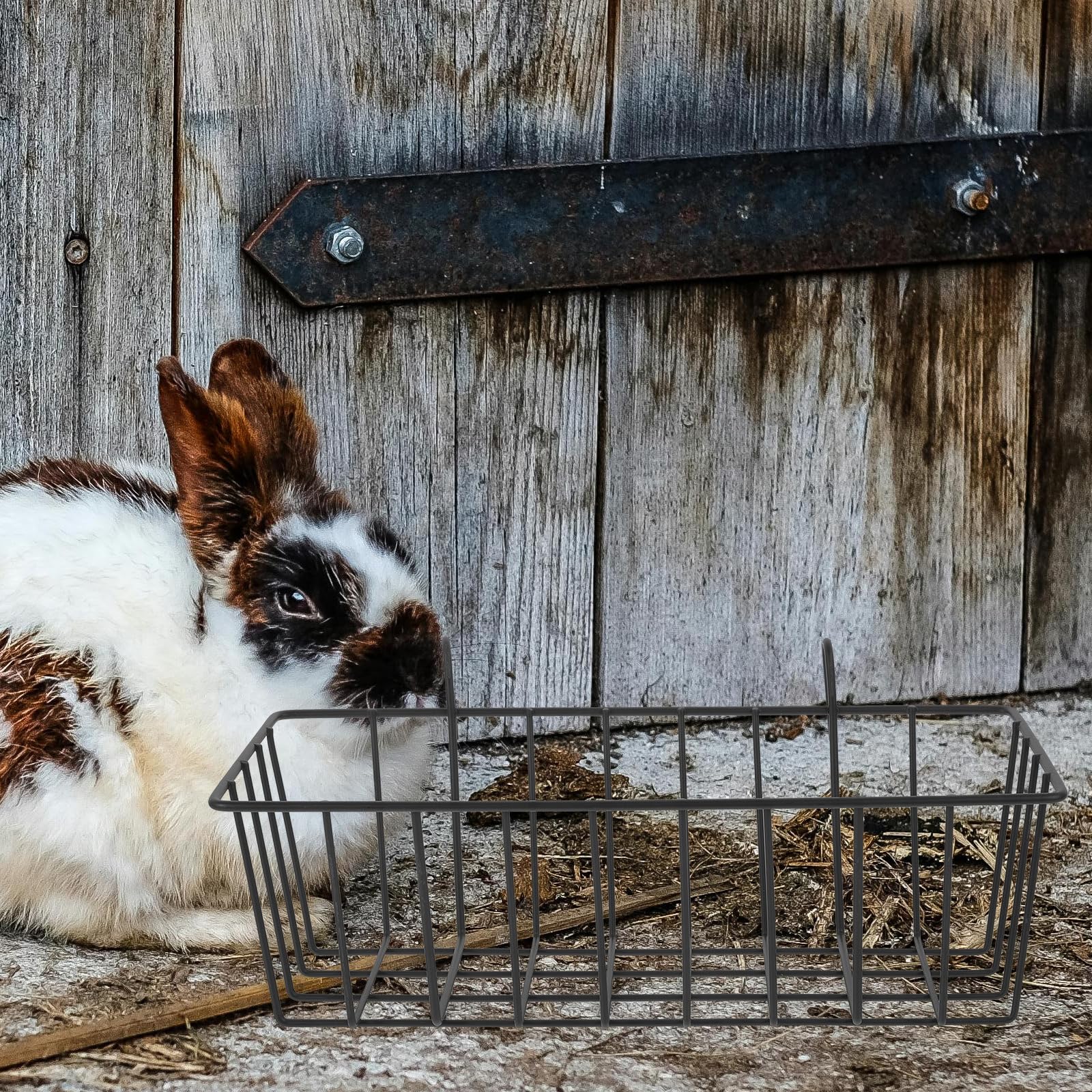 UKCOCO Râtelier À Foin Lapin 9.06X4.53X3.94 Pouces Distributeur Portable Facile À Nettoyer Support De Foin pour Lapins Et Petits Animaux