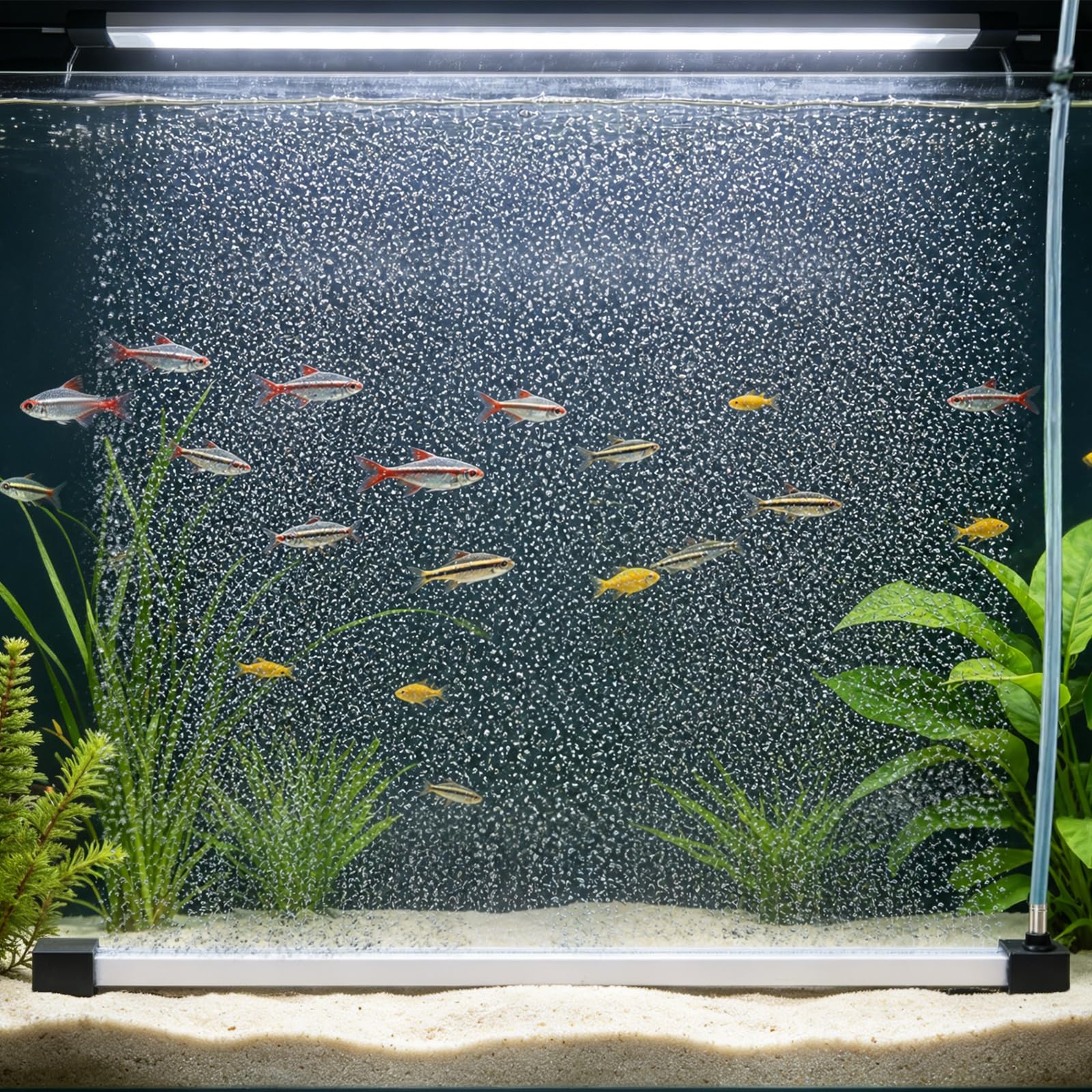 Wiogence Aquarium Bubble Curtain Wall, Long Strip Quiet Air Stone Fish Tank Oxygen Diffuser (40cm)