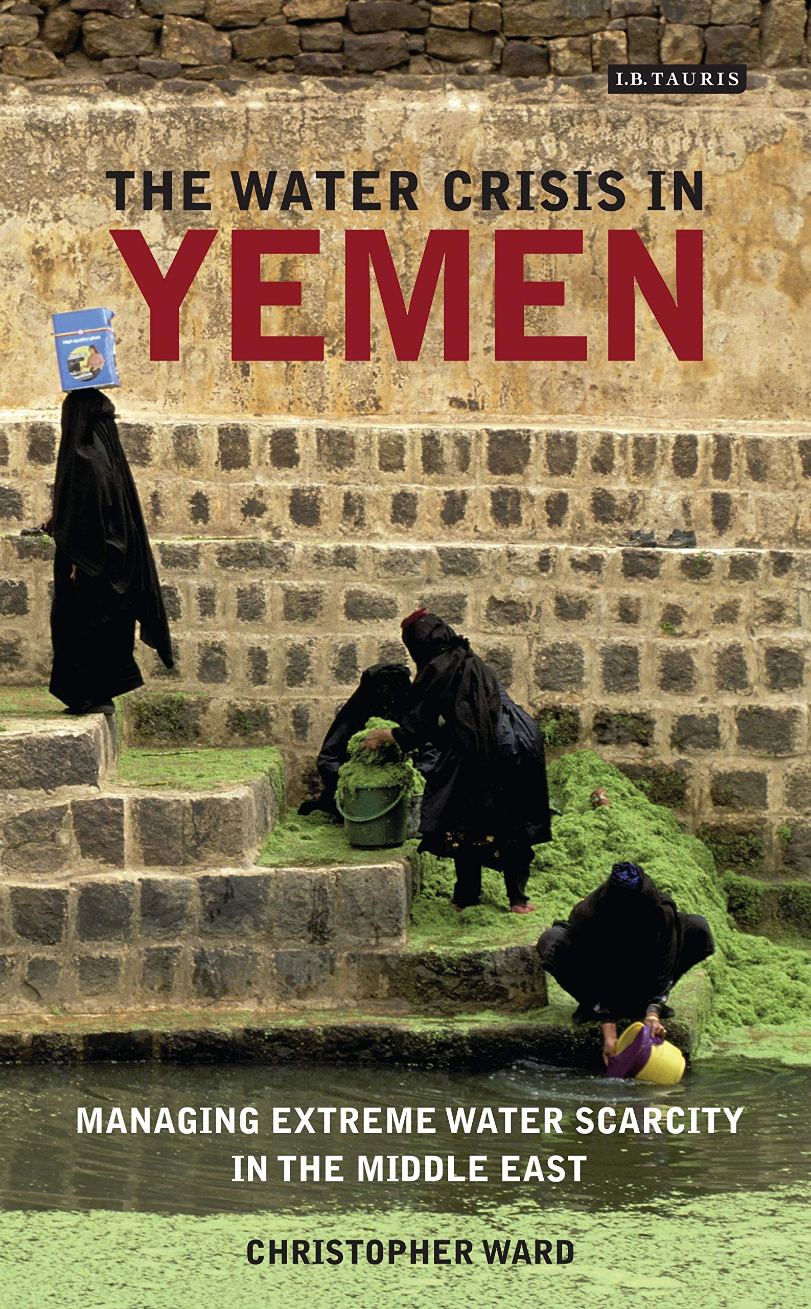 Buy The water crisis in Yemen: Managing extreme water scarcity in the Middle East (International Library of Human Geography) โ BookShops.in