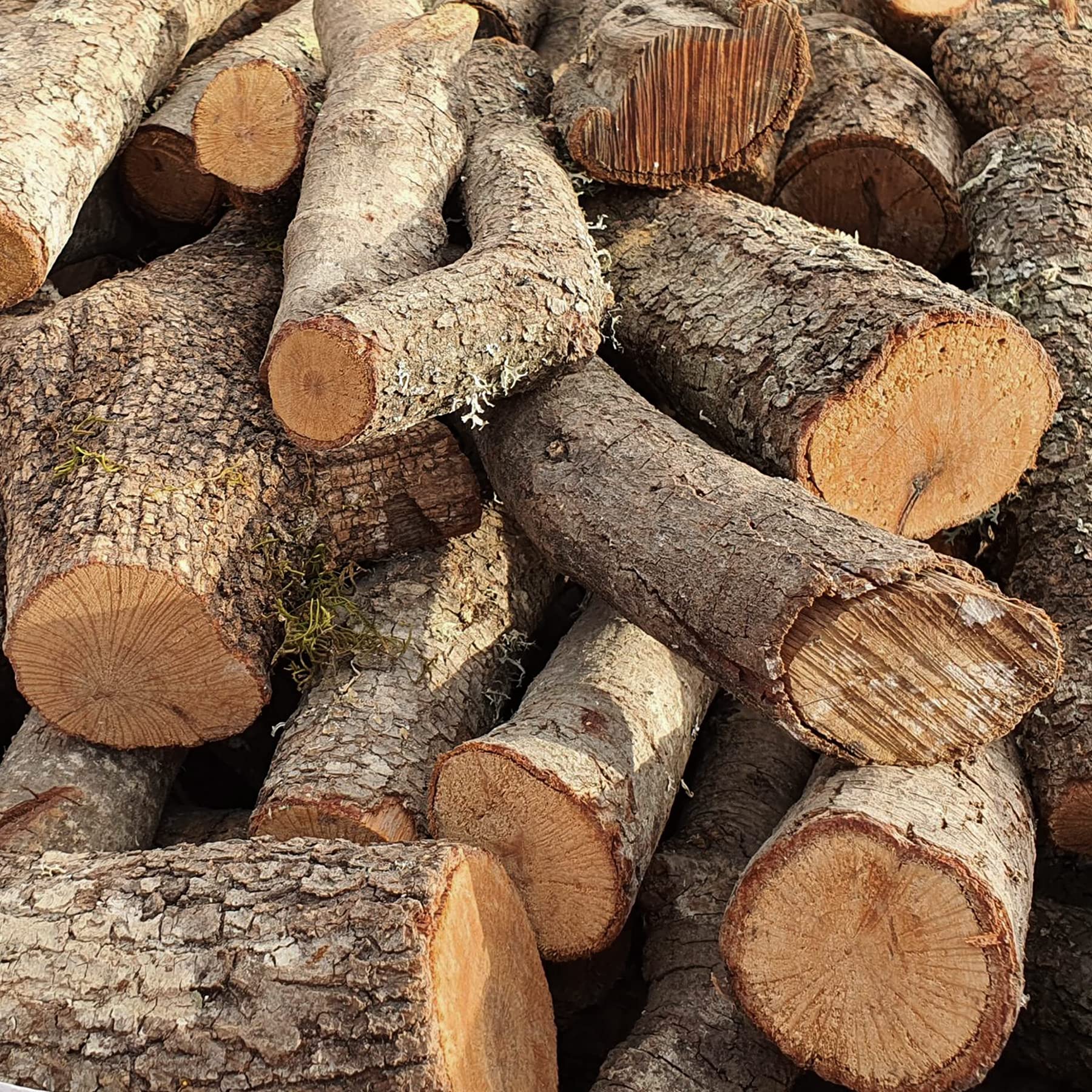 LEÑA ECOLÓGICA Leña de Encina para Chimeneas, Estufas, Barbacoas y Hornos de Asar. 0,6m3 de leña de encina Troncos de leña Medianos 30-40CM Alta Durabilidad Gran Poder calorífico