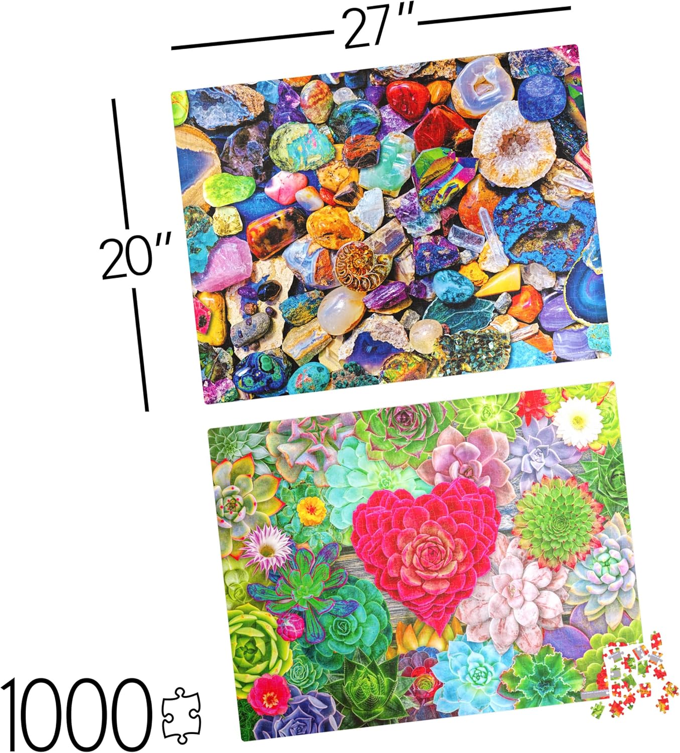 2-Pack of 1000-Piece Jigsaw Puzzles, Succulents & Rocks and Minerals | Puzzles for Adults and Kids Ages 8+, Amazon Exclusive