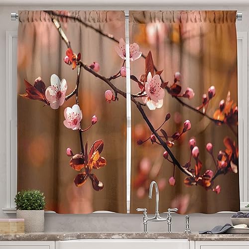 Ambesonne Cortinas de cocina con diseño de flores de cerezo, ramas de árbol de Sakura, estampado floreciente japonés, cortinas de ventana, juego de