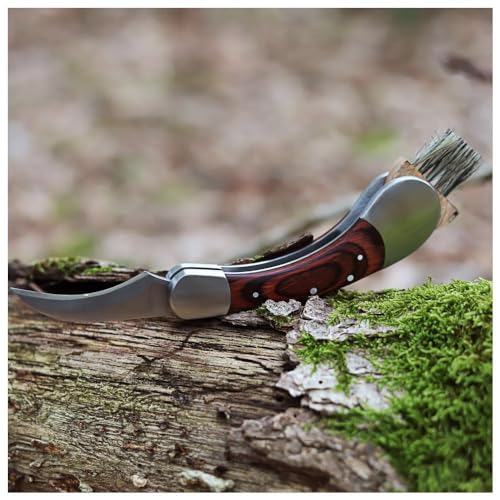 Foto von Dönges Pilzmesser mit Bürste, klappbar, inkl. Tasche | Geschenk für Pilzsammler zum Outdoor Pilze sammeln | Schwammerlmesser hochwertig gefertigt aus rostfreiem Stahl und Pakkaholz