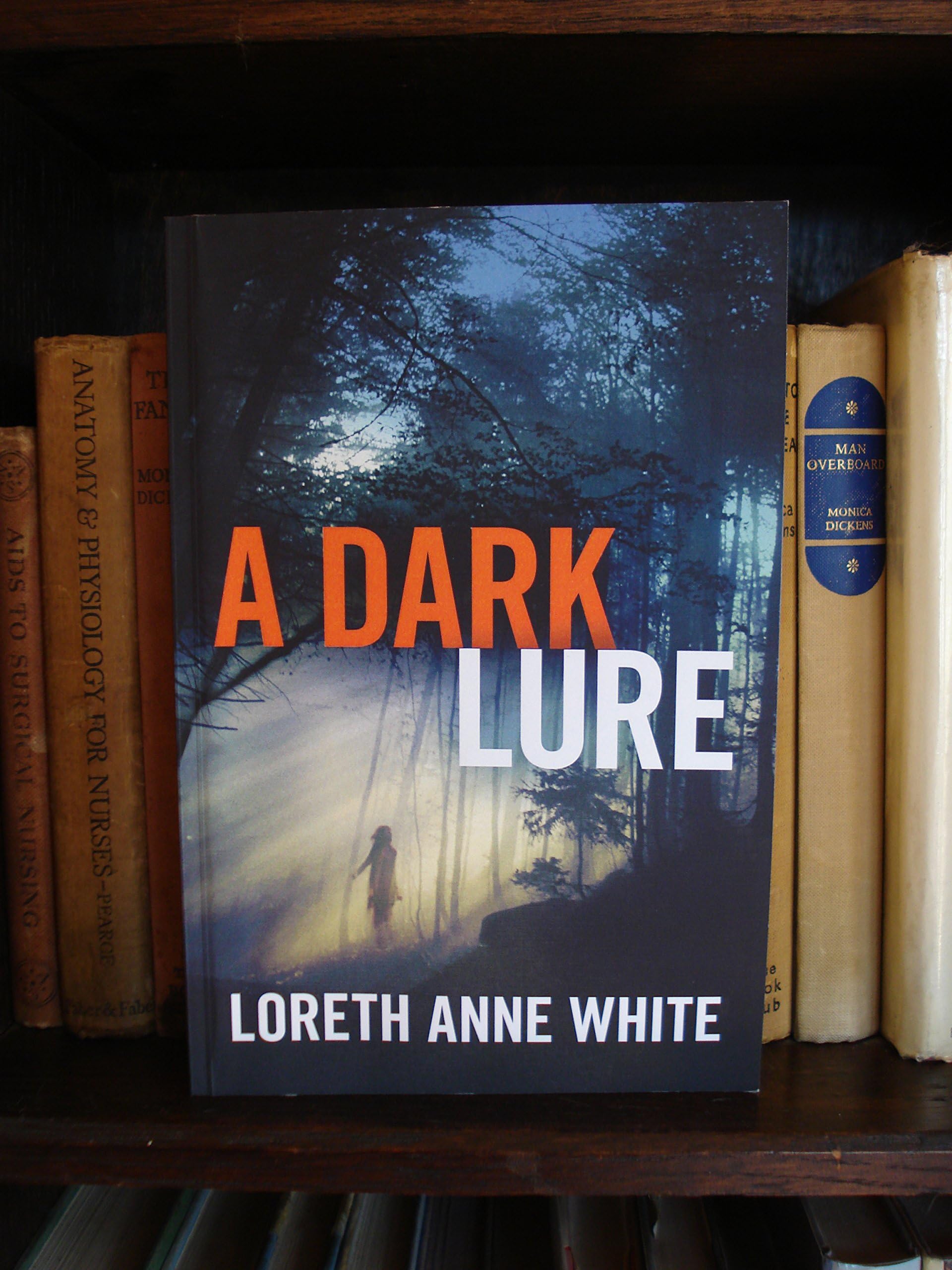 A Dark Lure Paperback – Import, 1 July 2015
