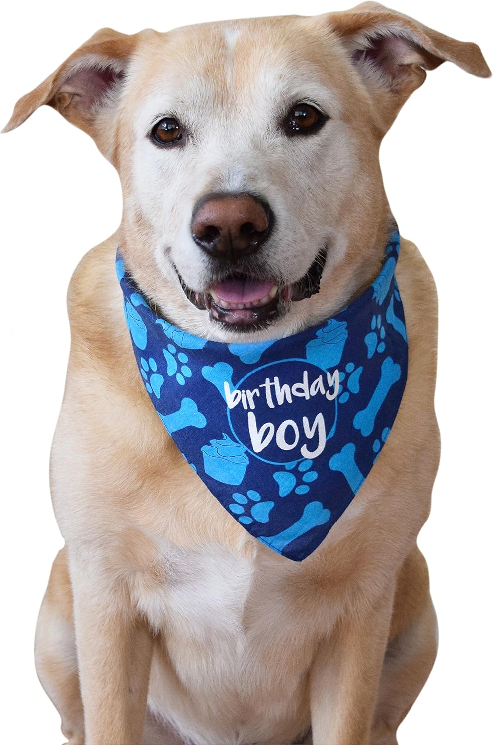 Dog Birthday Bandana - Boy