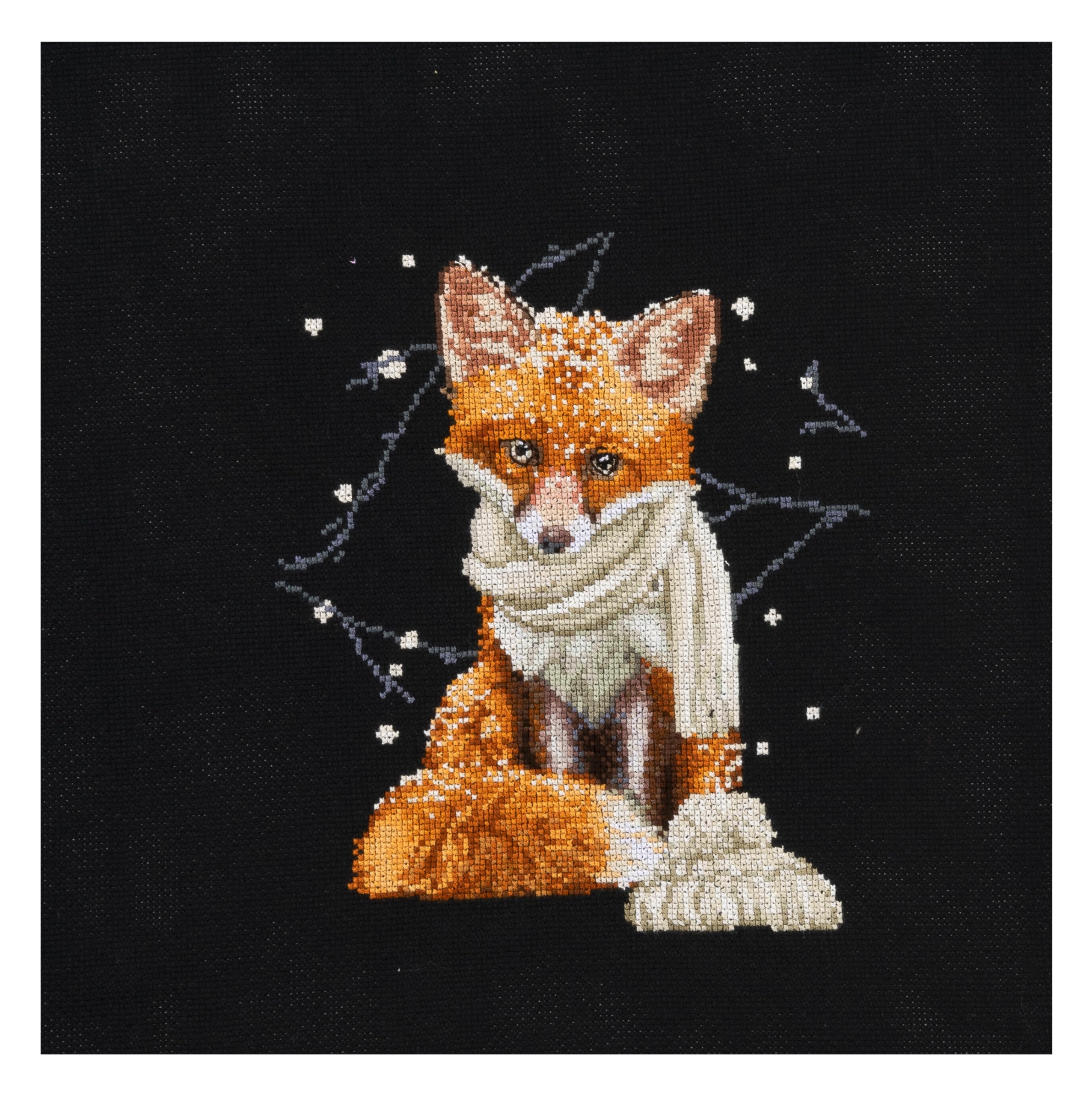 Thea Gouverneur - Counted Cross Stitch Kit - Hey There Foxy Lady - Aida Black - 16 Count - Embroidery Kit for Adults - DMC Embroidery Threads and Other Cross Stitch Supplies Included - 744.05