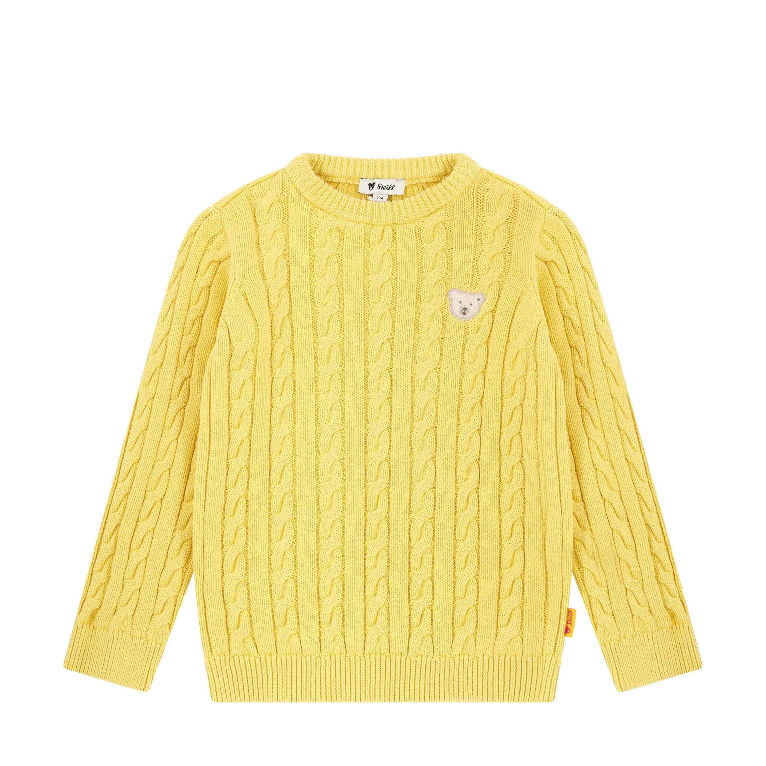 Steiff Jungen Pullover