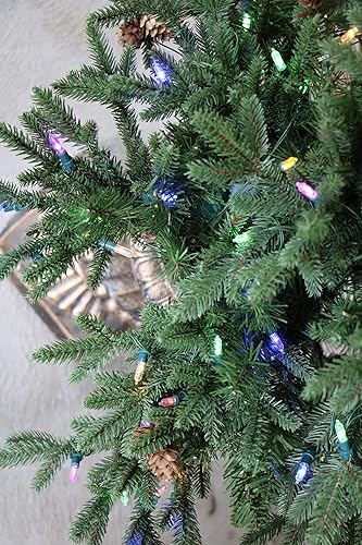 Miniatura 26 de Fraser Hill Farm Árbol de porche de 3 pies con luces LED multicolor Luces LED multicolor,Luces LED de color blanco cálido