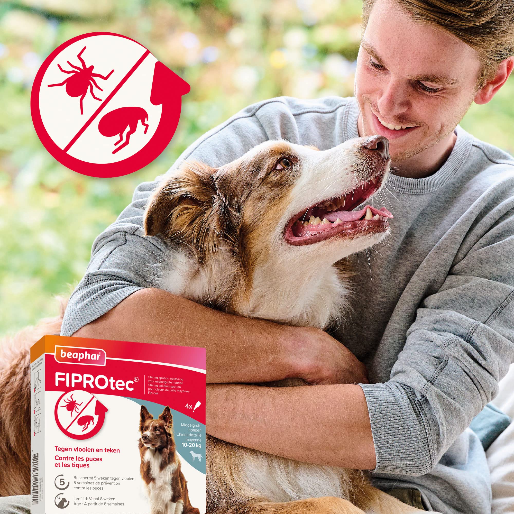BEAPHAR – FIPROTEC Solution Spot-on pour Chiens Moyens (10-20 kg) 134 MG – À Base de Fipronil – Contre Les Puces – Protège Contre Les Infestations par Les Tiques – 4 Pipettes de 1,34 ML