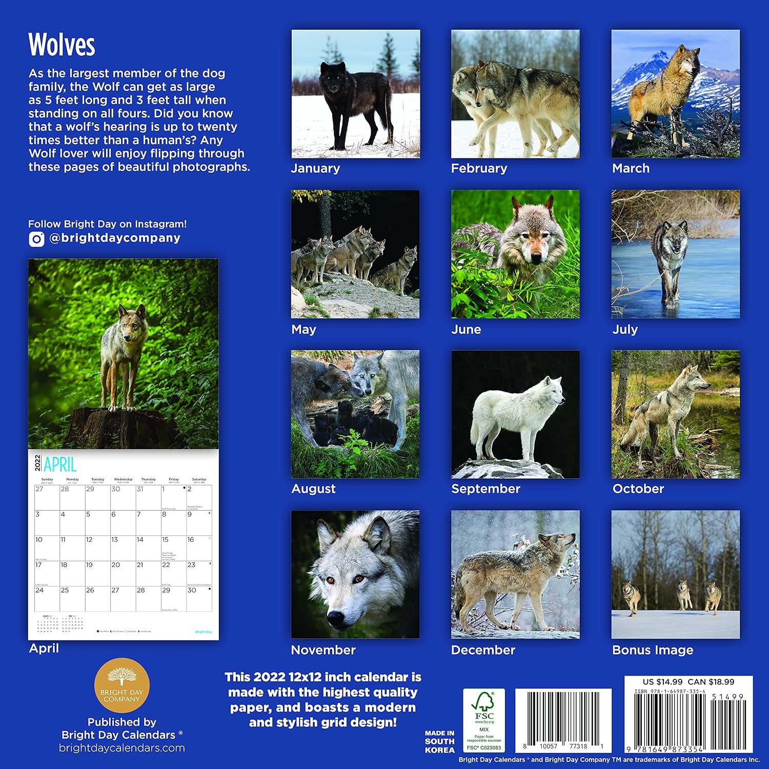 2022 Wolves Wall Calendar by Bright Day, 12 x 12 Inch, Cute Wild Animals Wolf