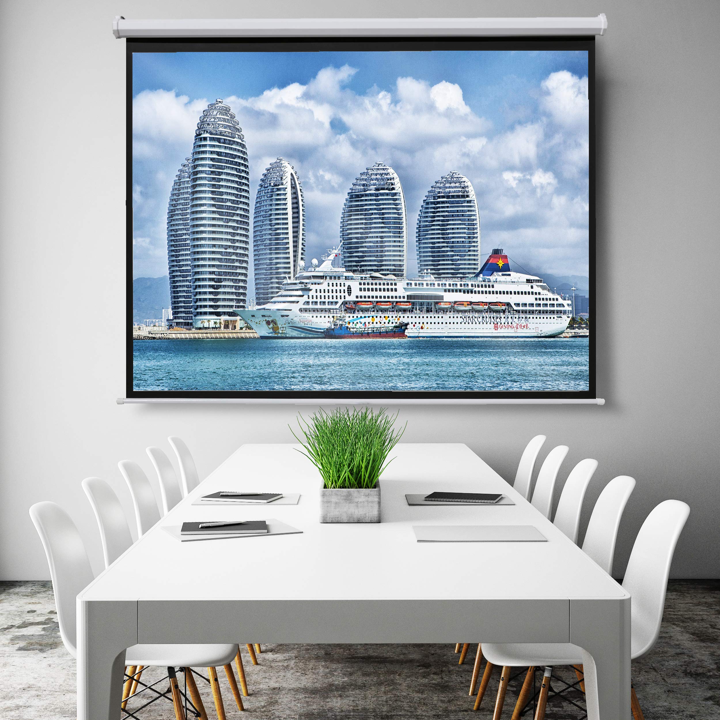 Celexon ivolum Motorleinwand 200 x 150cm,Heimkino-Leinwand