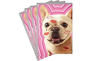 Hallmark Four Pack of French Bulldog Valentines Cards