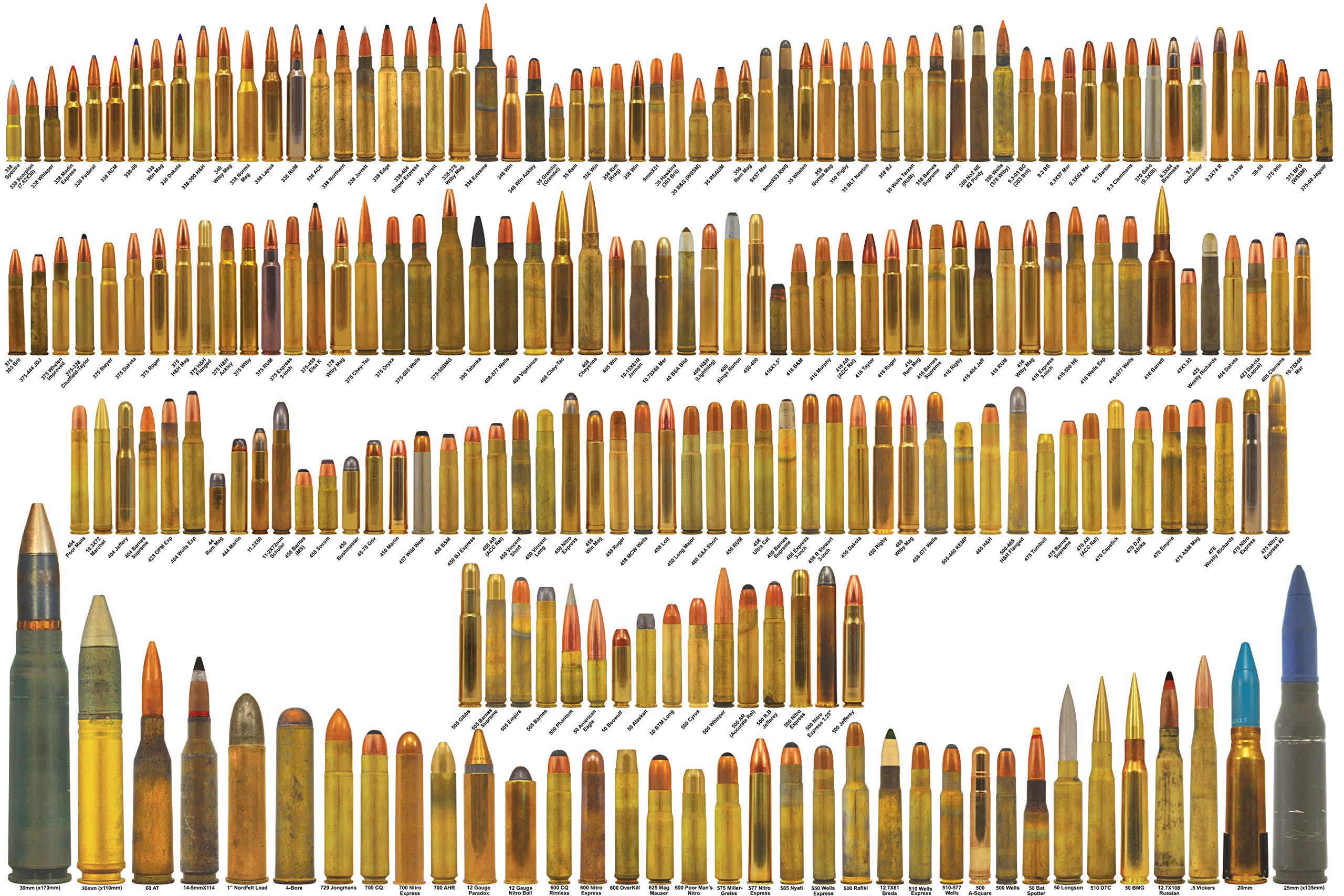 Rifle Cartridge Comparison