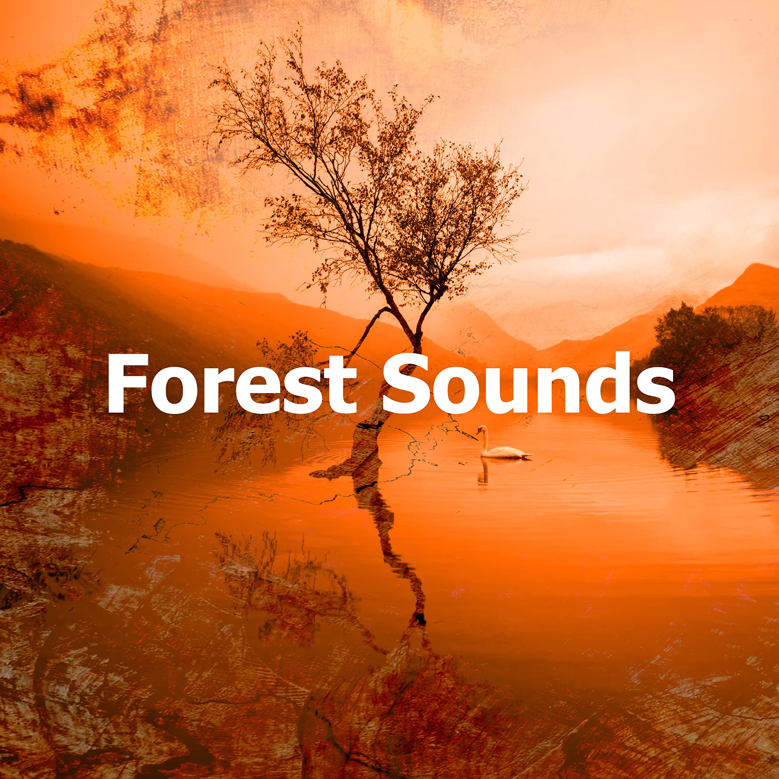 Green Meditation Sound Collectors