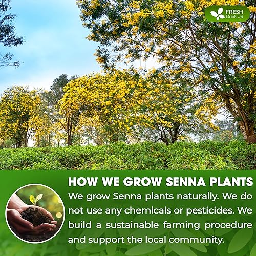 Miniatura 5 de FreshDrinkUS, Polvo de hoja de sena prémium de 32 onzas, 100% natural y puro de hojas de senna, sin aditivos, sin gluten, sin azúcar, vegano