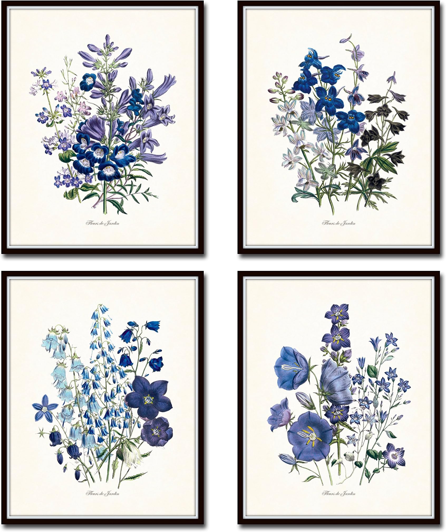 Fleurs de Jardin Botanical Print Set No.13 Botanical Prints, Wall Art Prints, Vintage Wall Art, Vintage Wall Decor, Vintage Art Prints, Botanical Wall Decor, Vintage Botanical Prints - Unframed