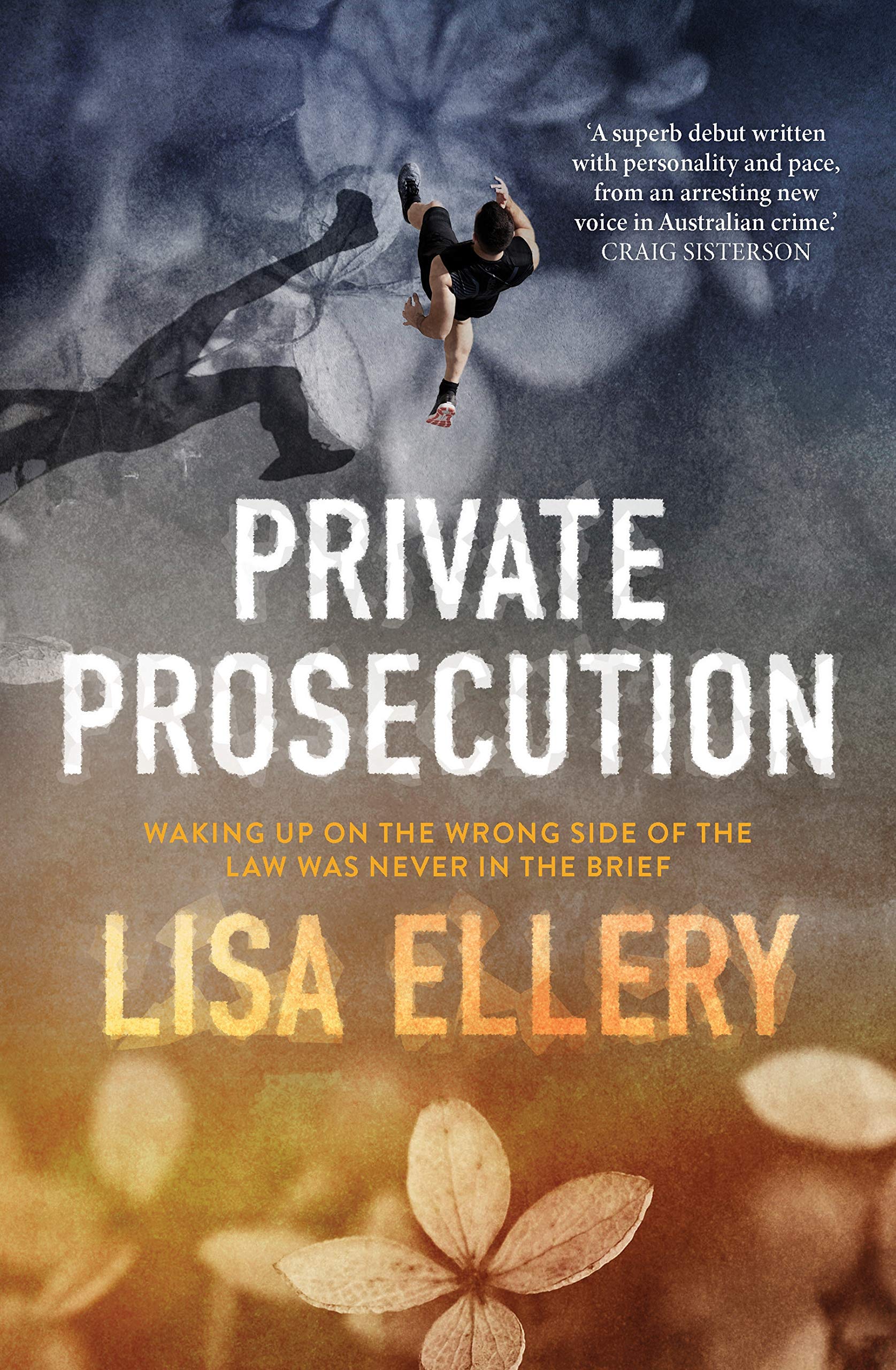 Buy Private Prosecution: A one-night stand becomes a whodunnit — BookShops.in